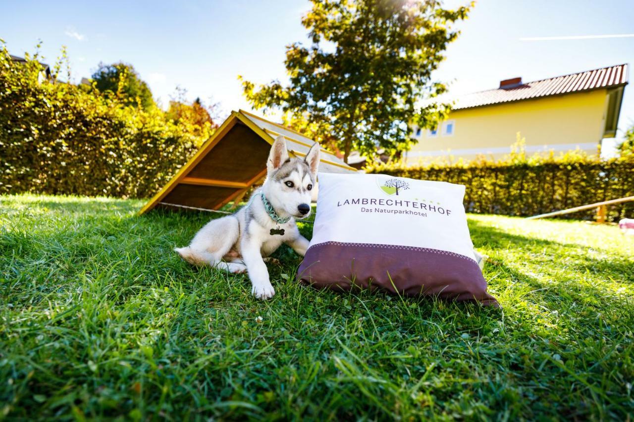 Lambrechterhof - Das Naturparkhotel Sankt Lambrecht Exterior foto